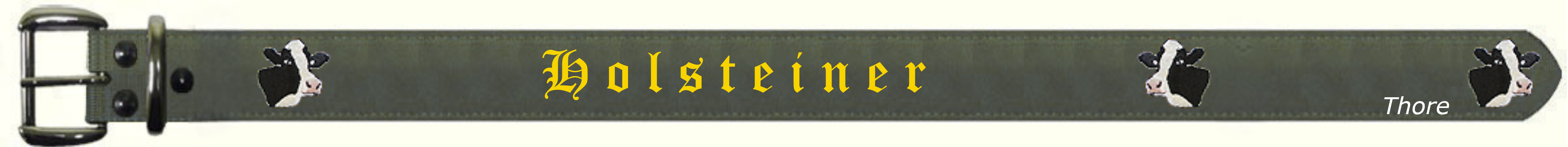 Holsteiner