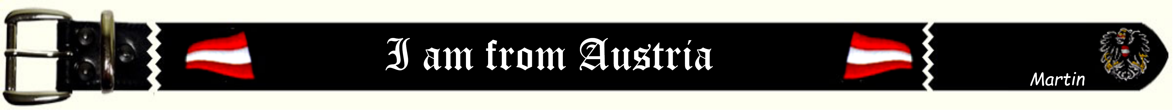 I am from Austria