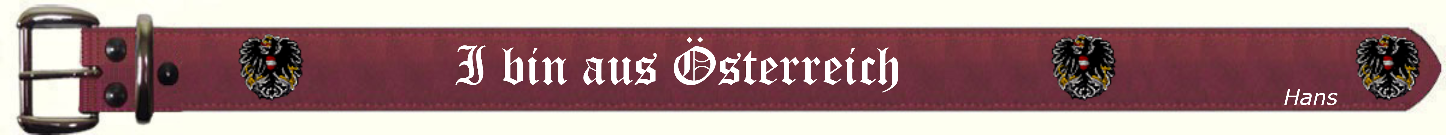 I bin aus Österreich